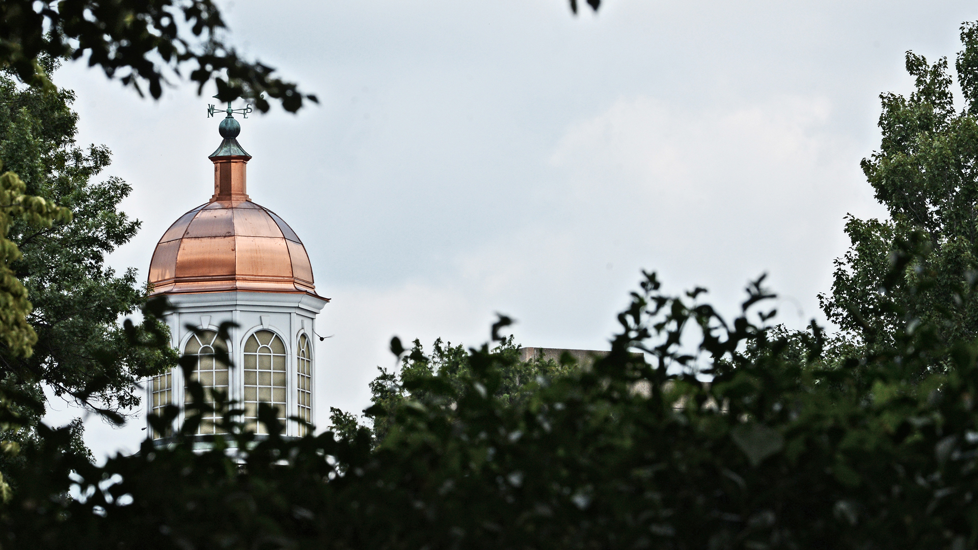 Faculty and Administrative Personnel Issues